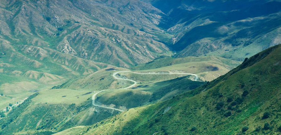 Dzukou Valley Trek: Your Epic Nature Escape – Wildflowers, Adventure And Hidden Wonders!