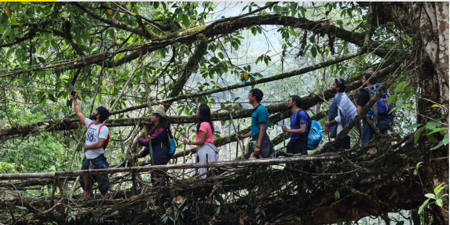 16 Offbeat Places In Meghalaya: Best Guide For Offbeat Traveller